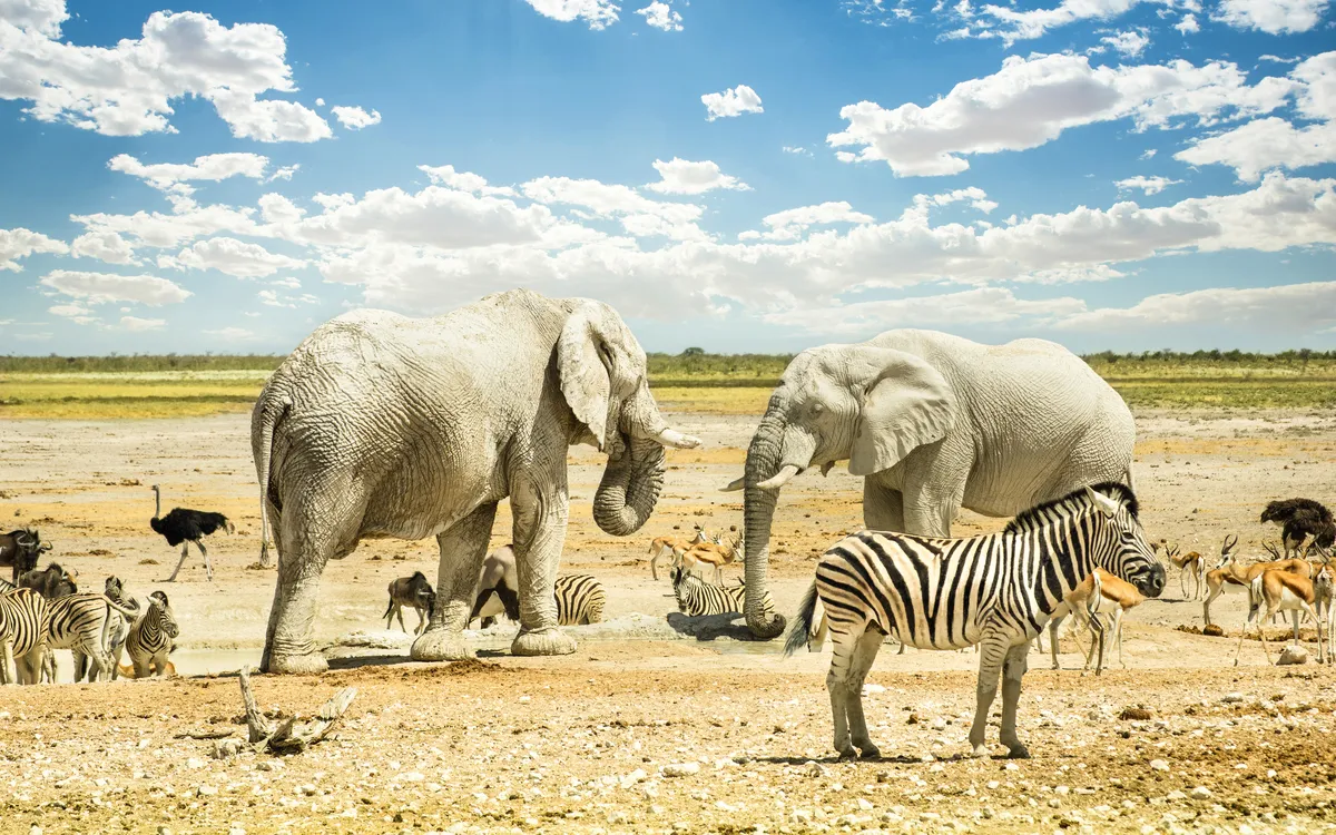 Namibia – Kontraste, Weite und Wildnis