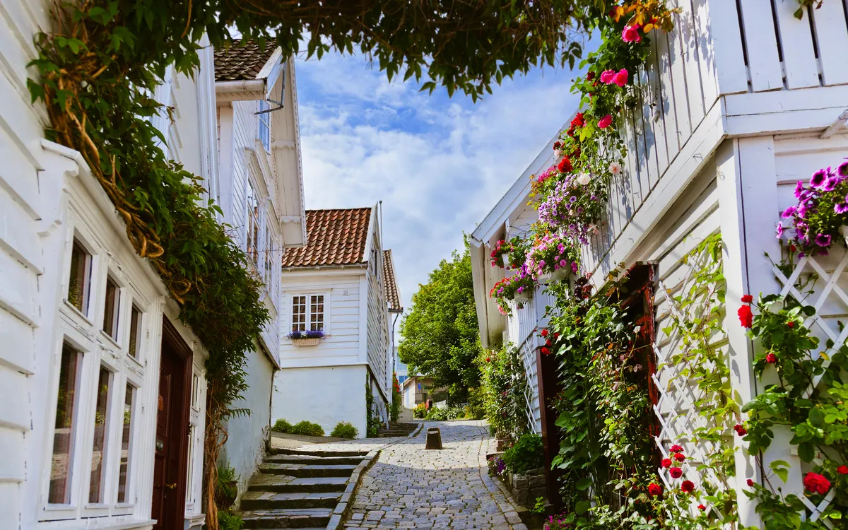 Straße im alten Zentrum von Stavanger mit typischen weißen Holzhäusern und blühenden Pflanzen.