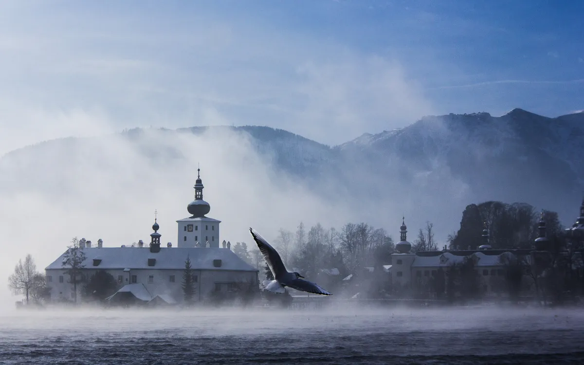 Kloster im Nebel am See, Berge im Hintergrund, fliegende Möwe im Vordergrund.