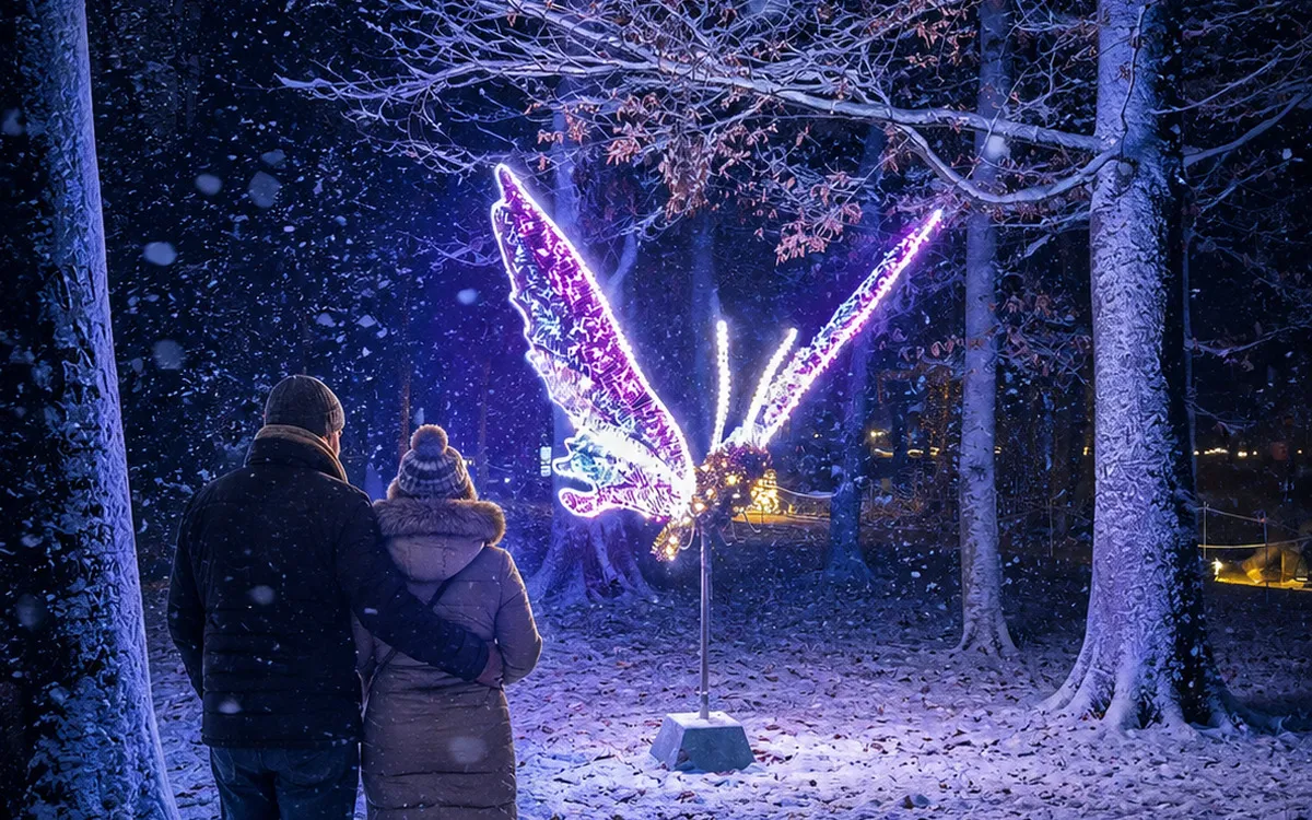 Dresden im Advent inkl. Semperoperkonzert