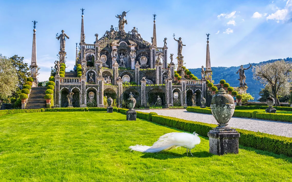 Weißer Pfau auf einer Wiese vor einer barocken Gartenanlage.