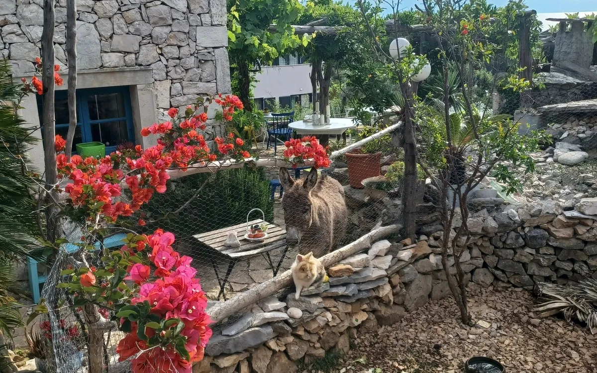 Im Garten der feinen Düfte auf Lošinj