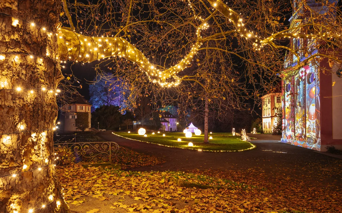 Weihnachtlich beleuchteter Garten auf der Insel Mainau bei Nacht mit Lichterketten und Laub.