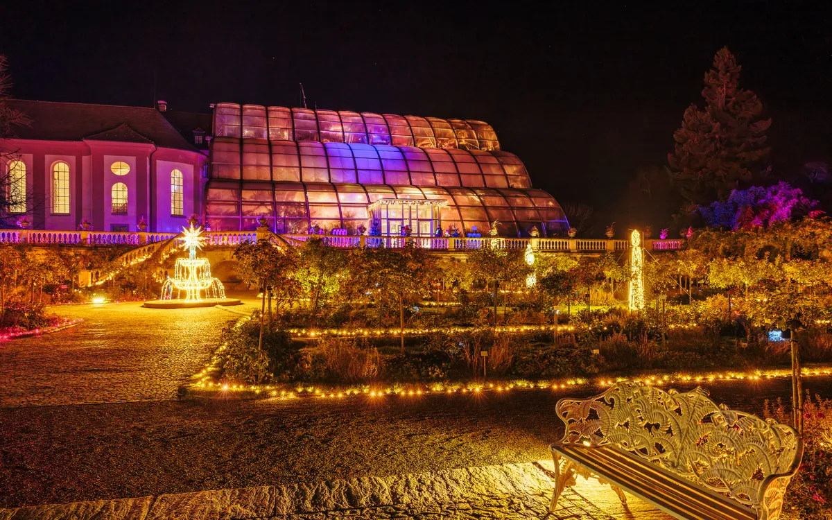 Festlich illuminierte Insel Mainau