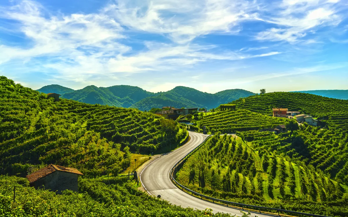 Weinberge der Prosecco Hills in Venetien, Italien, unter blauem Himmel.
