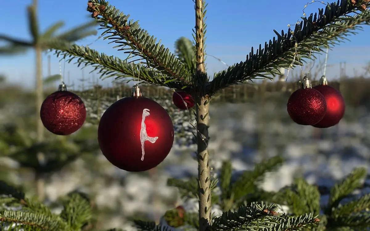 Weihnachten auf Deutschlands schönster Insel