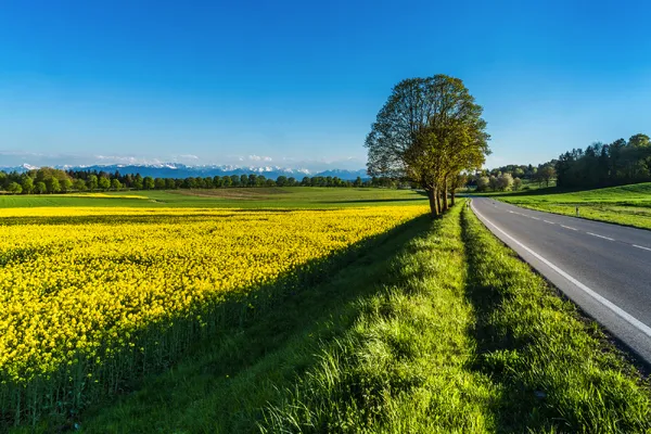 © Andy Ilmberger - stock.adobe.com