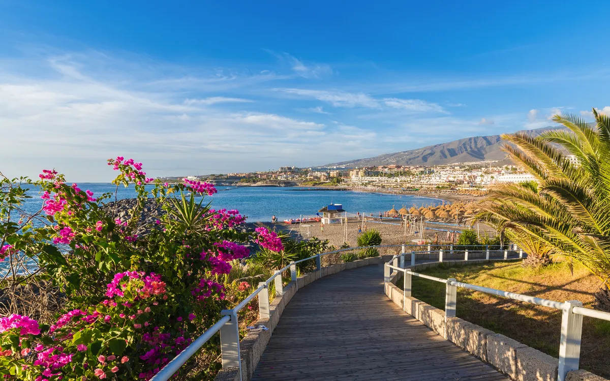Weg zum Strand mit Blumen und Palmen, im Hintergrund Meer und Berge.