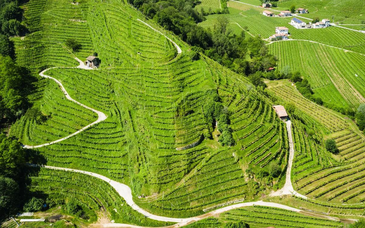 Die terrassierten Steillagen der Prosecco-Region