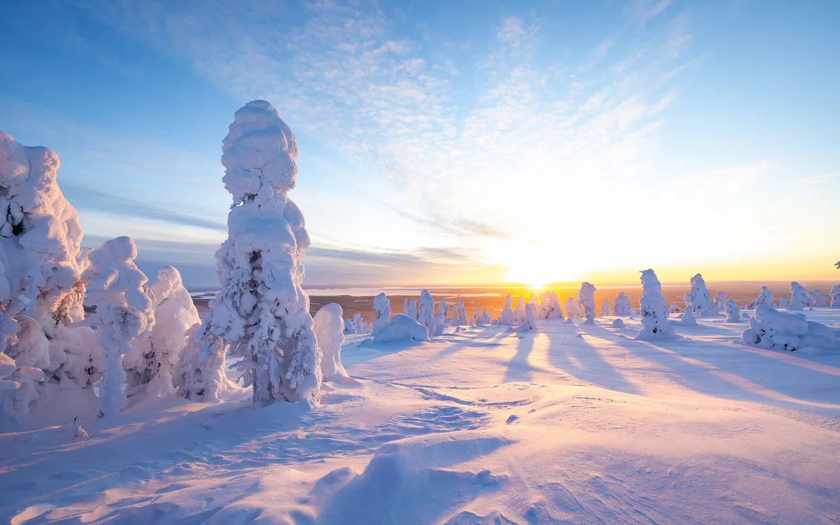 Winterliche Landschaft in Lappland, Finnland mit schneebedecktem Wald bei Sonnenuntergang.