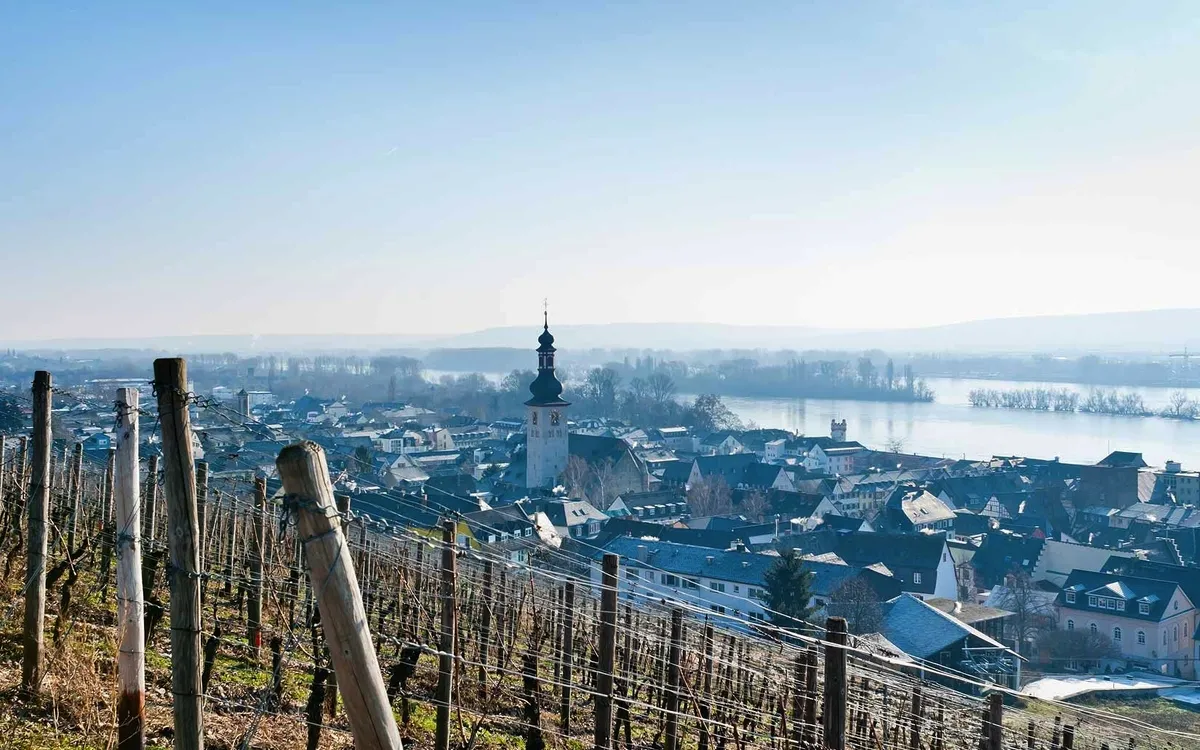 Adventszauber am Rhein mit MS COMPASS OPERA