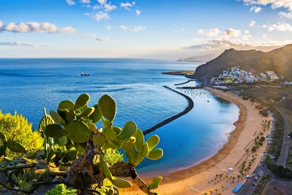 © olenatur - stock.adobe.com