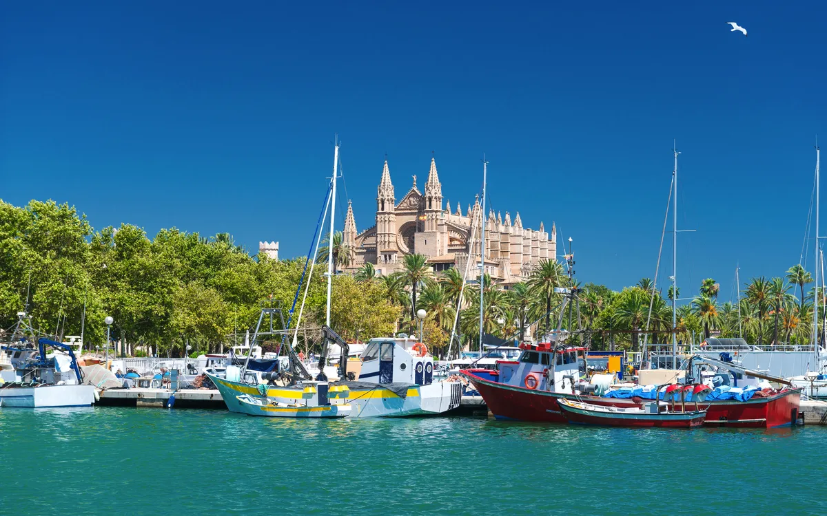 Mallorca zur Mandelblüte erleben!