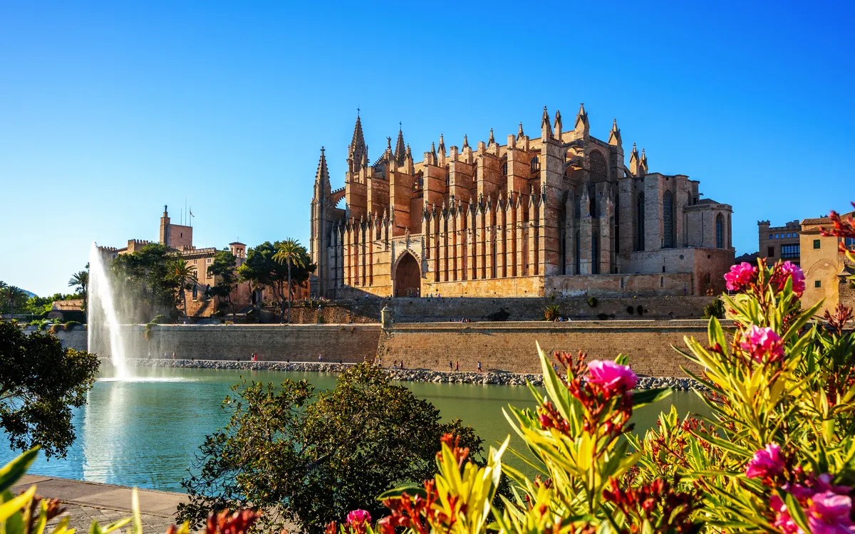 Mallorca zur Mandelblüte erleben!