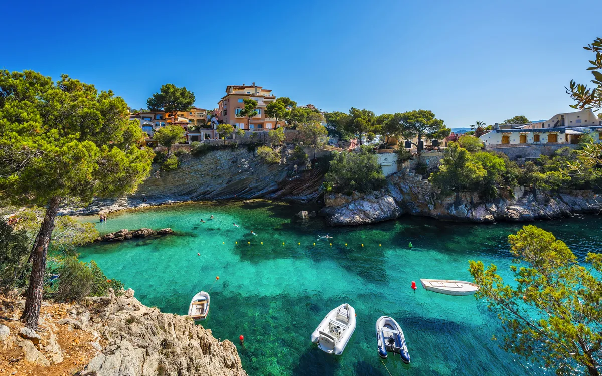 Mallorca zur Mandelblüte erleben!