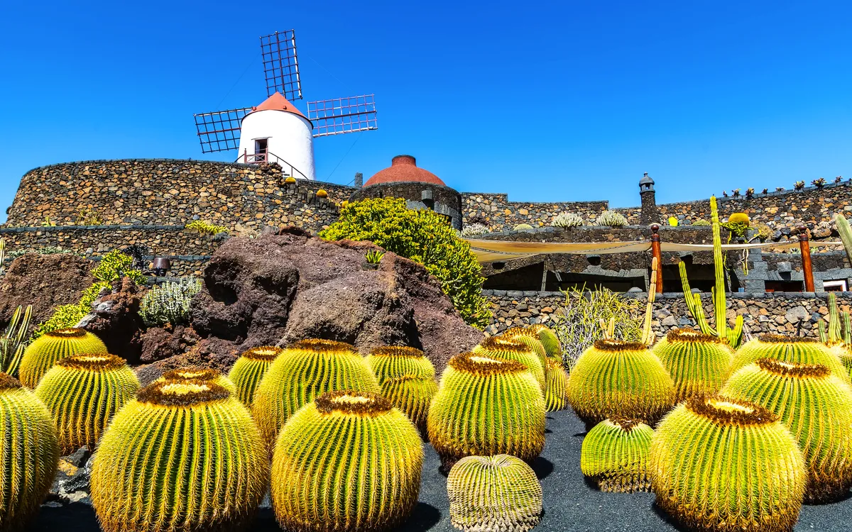 Kaktusgarten im Dorf Guatiza auf Lanzarote