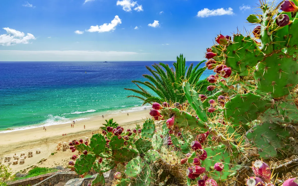 Strand auf Fuerteventura