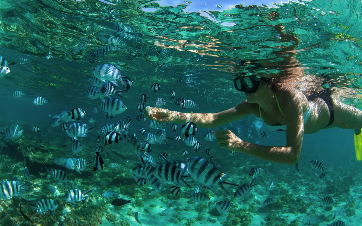 Schnorcheln unter Wasser im tropischen Ozean