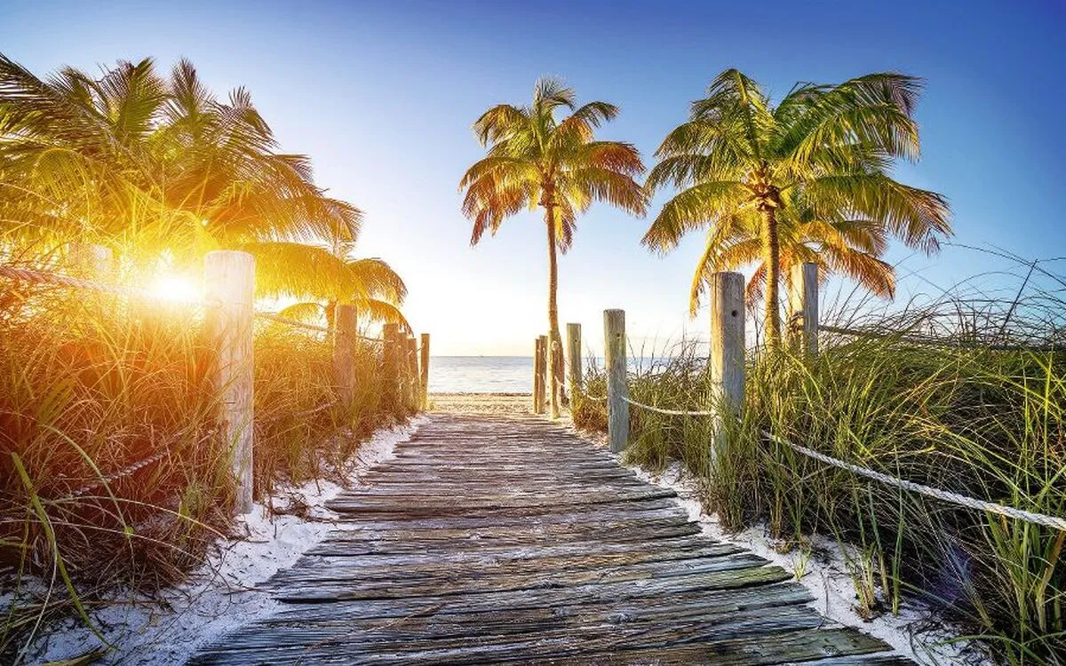 Holzweg zum Strand mit Palmen und Sonnenlicht in Florida.