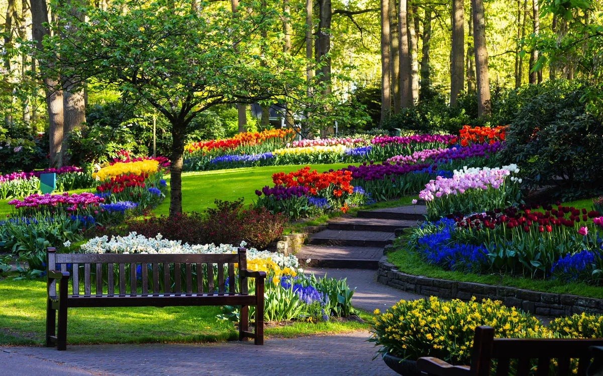 Park im Keukenhof mit bunten Blumenbeeten