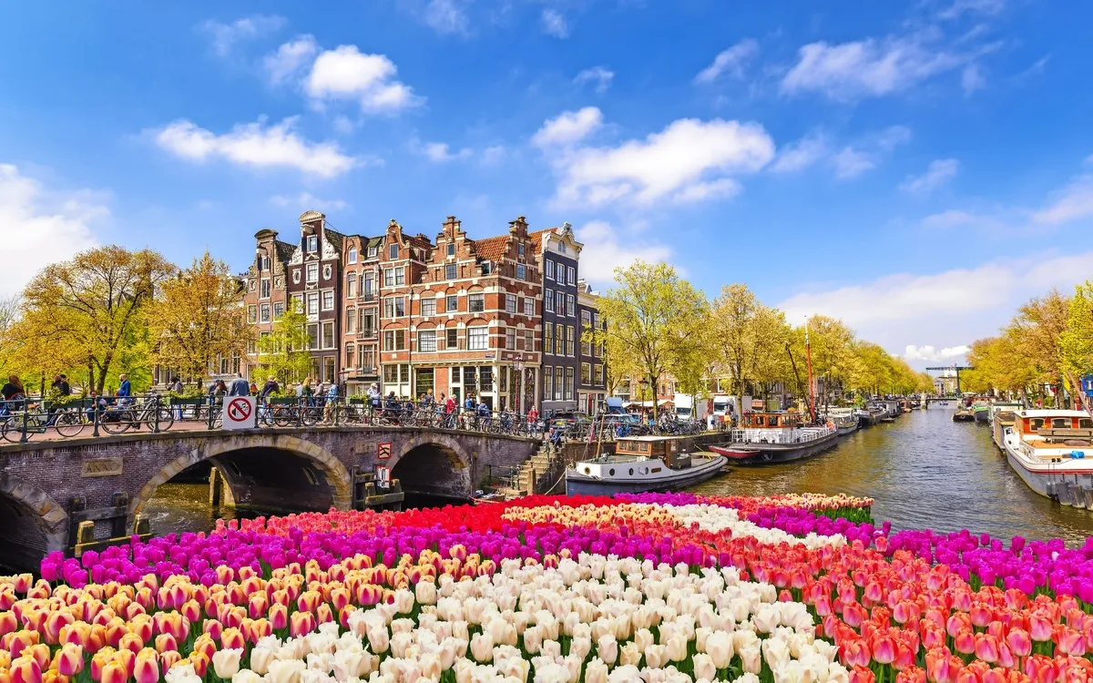 Tulpenblumen am Ufer im Amsterdam