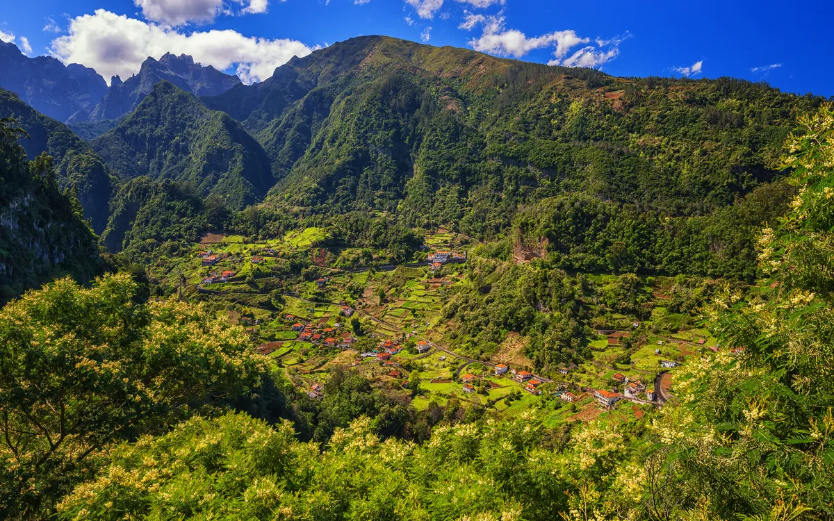Landschaft von Ribeiro Frio auf Madeira mit Bergen und grünem Tal.