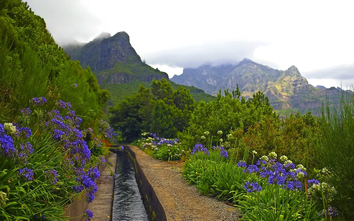 Berglandschaft mit Blumen, Bäumen und Bewässerungskanal, Wolken am Himmel.