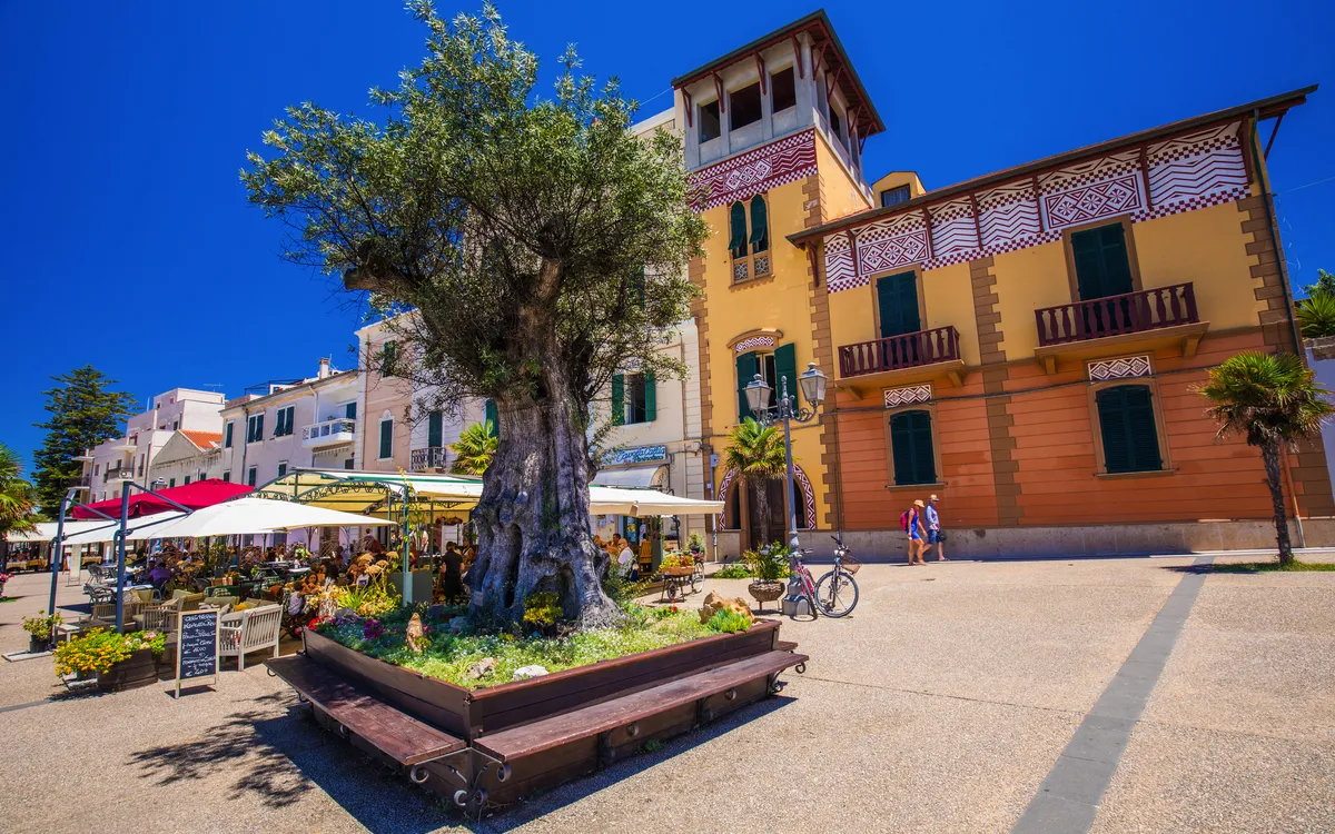 Ein Platz mit altem Baum, Cafés und historischen Gebäuden bei sonnigem Wetter.