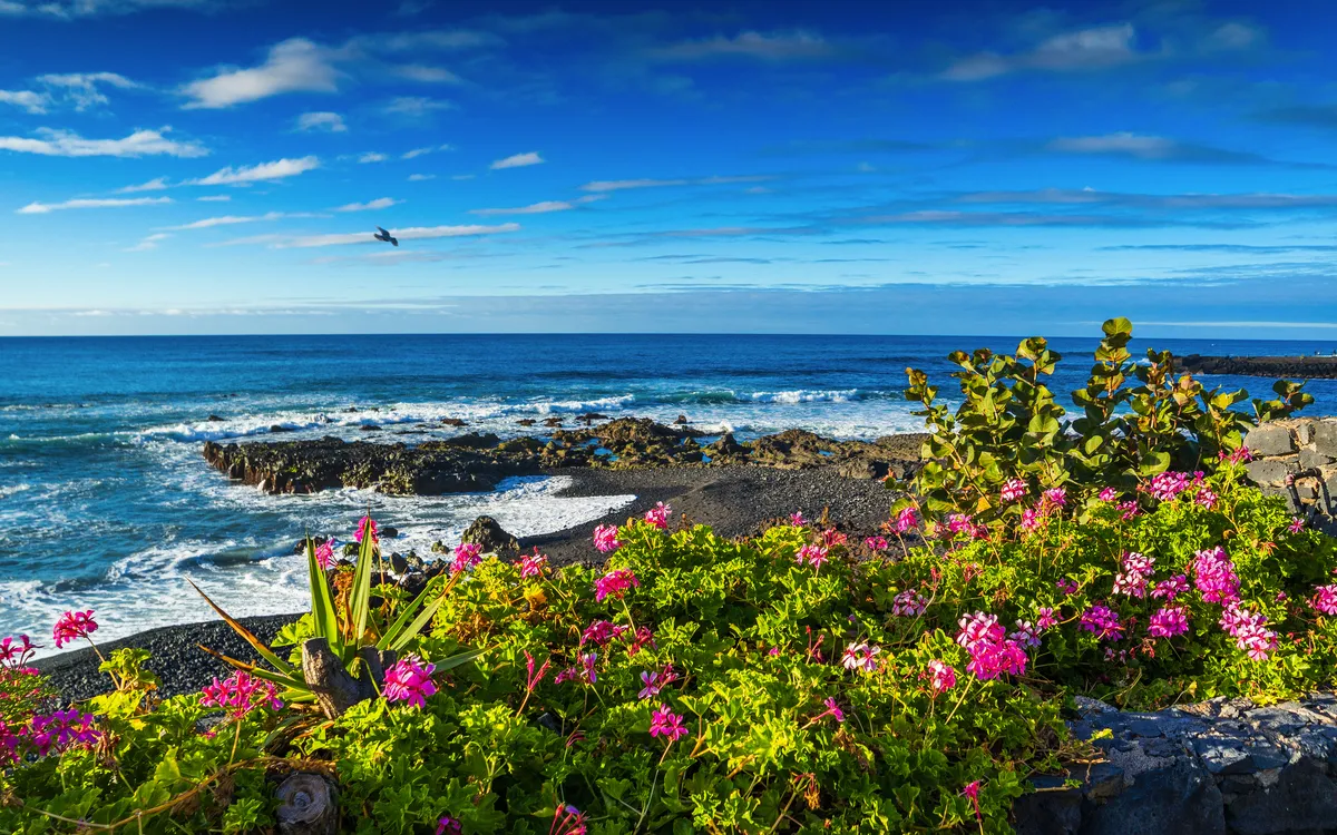 Spanien - Teneriffa