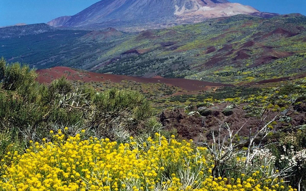 Blick auf den Teide im Teide-Nationalpark auf Teneriffa, Spanien.