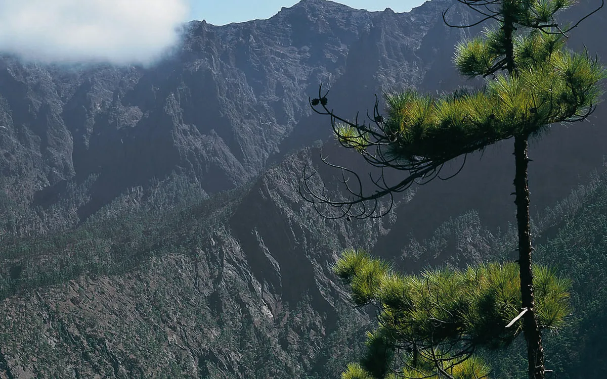 Blick auf bewaldete Berge auf La Palma