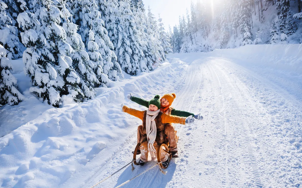 Schlitten im Winterwald
