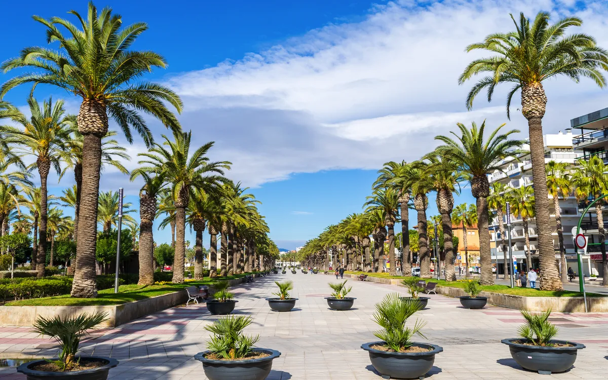 Promenade mit Palmen und blauen Himmel im Hintergrund
