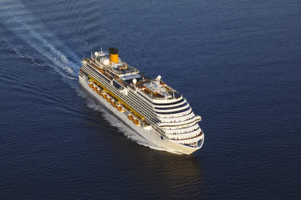 Ein großes Kreuzfahrtschiff fährt über das offene Meer.