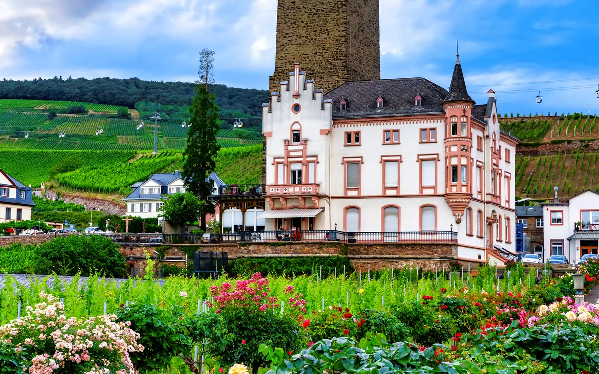 Boosenburg in Rüdesheim am Rhein zwischen Weinbergen – Sehenswürdigkeit im Rheingau